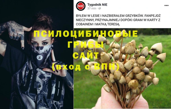 MDMA Кулебаки
