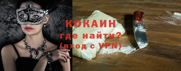 ECSTASY Лагань